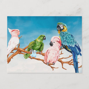 Postal Acuarela de aves Loro Guacamayo Cacatúa Periquito