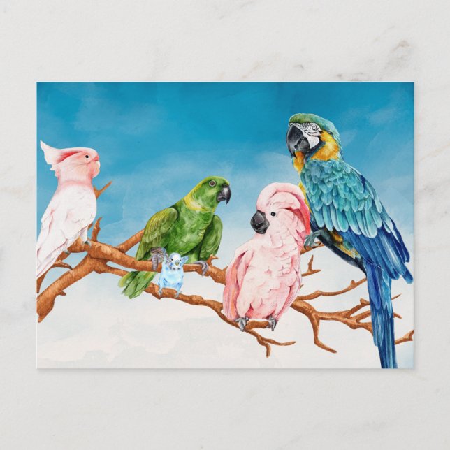 Postal Acuarela de aves Loro Guacamayo Cacatúa Periquito (Anverso)