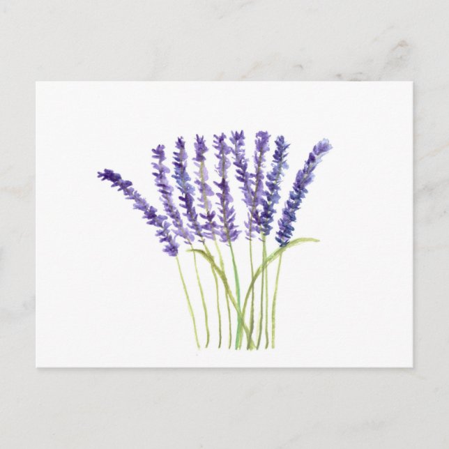 Postal Acuarela de flores púrpuras lavanda rústica (Anverso)