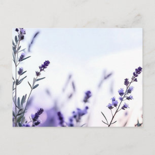 Postal Acuarela de lavanda romántica