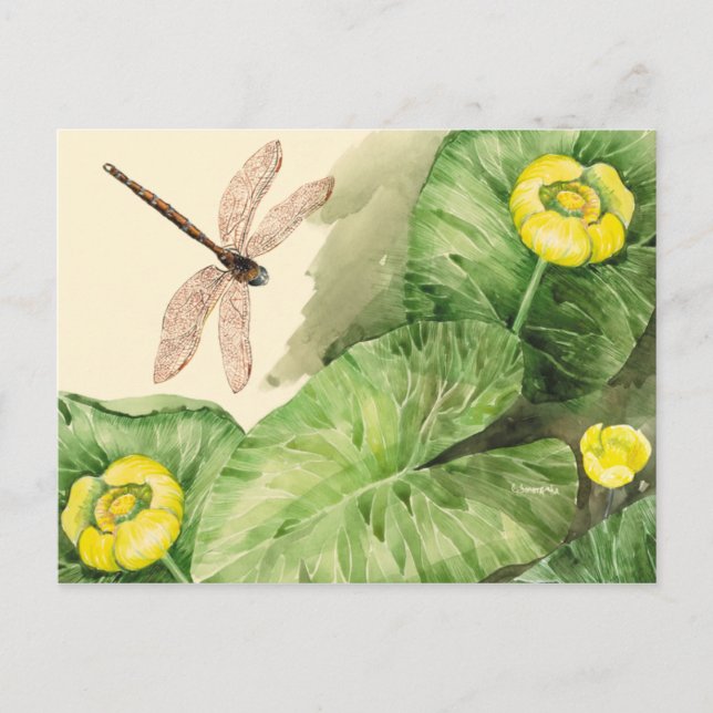 Postal acuarela de lirio (Anverso)