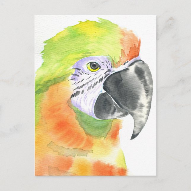 Postal acuarela de loros (Anverso)