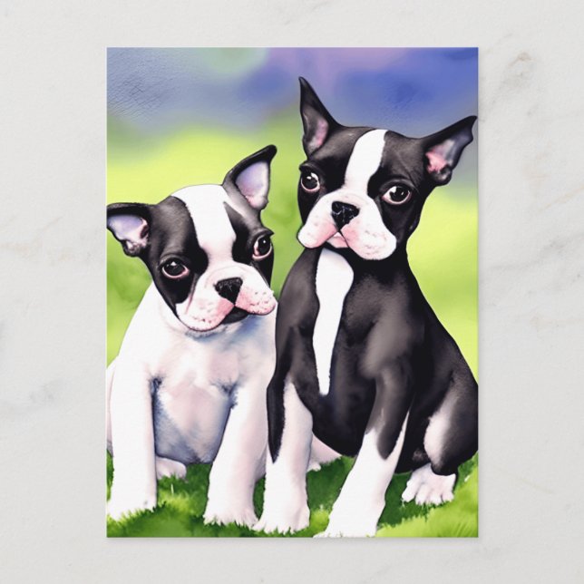 Postal Acuarela de los Cachorros de Boston Terrier (Anverso)