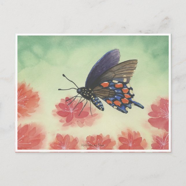 Postal Acuarela de mariposa (Anverso)
