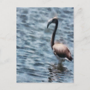 Postal Acuarela Flamingo Fledgling