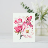 Acuarela Flores de Magnolia Rosa Botánica