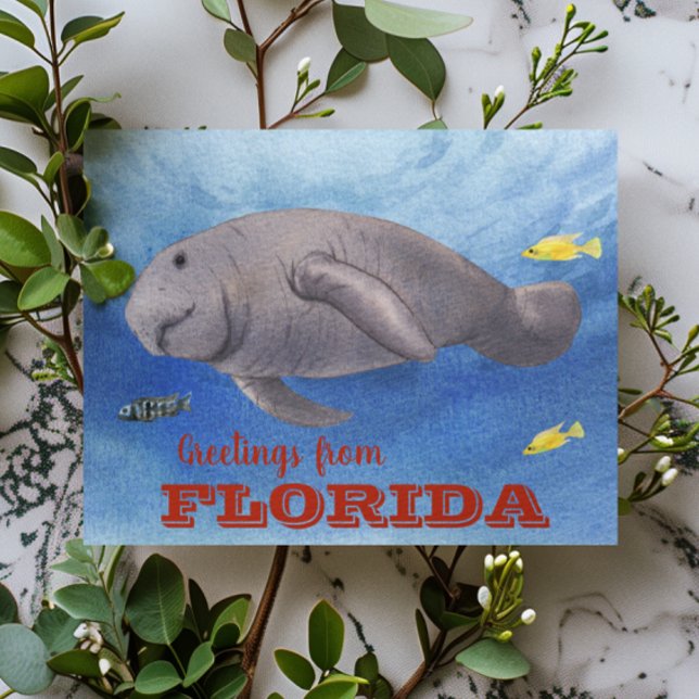 Postal Acuarela Manatee de Florida subacuática (Subido por el creador)