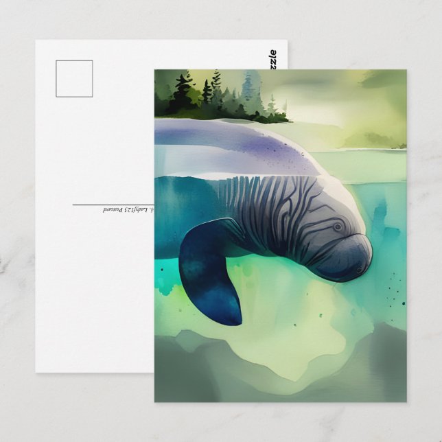 Postal Acuarela, Manatee, Postcross (Anverso / Reverso)