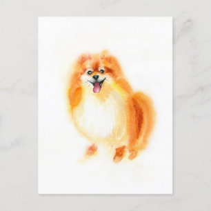 Postal Acuarela Perro Pomerania.