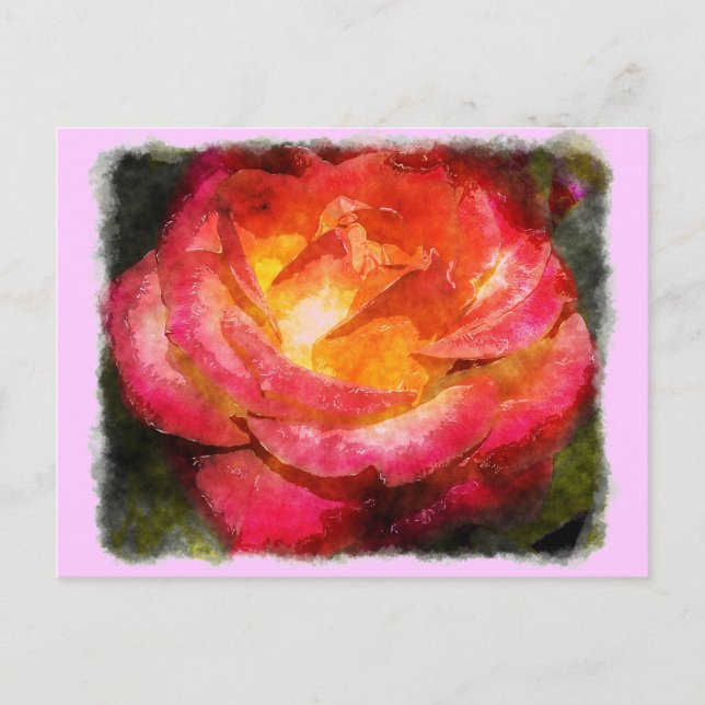 Postal Acuarela Rosa de inflamación (Anverso)