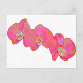 Postal acuarela rosa Pintura de orquídeas