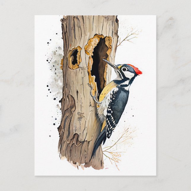 Postal Acuarela Treecreeper euroasiático en busca de Inse (Anverso)