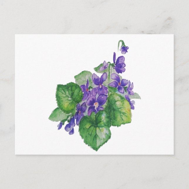Postal Acuarela Violeta Púrpura Flor Flor Arte Floral (Anverso)