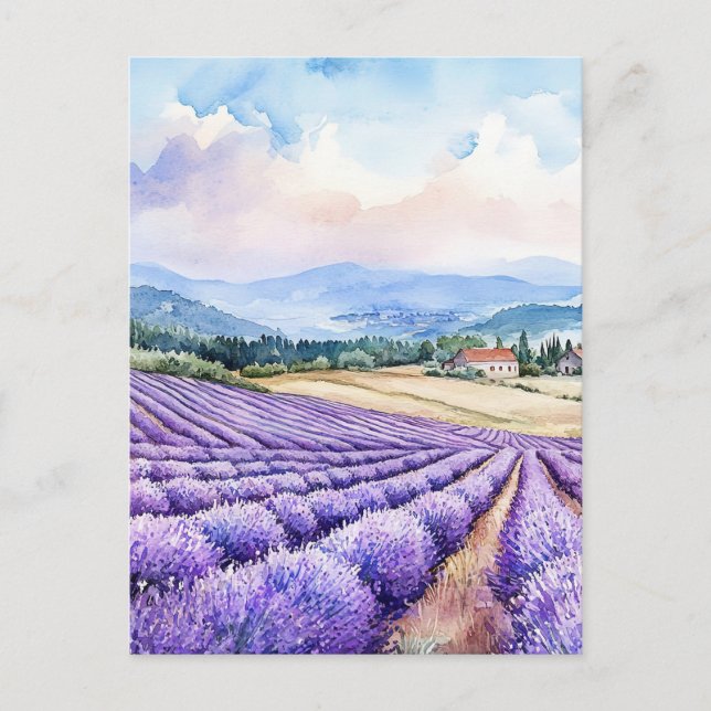 Postal Acuarelas campos de lavanda serenos (Anverso)