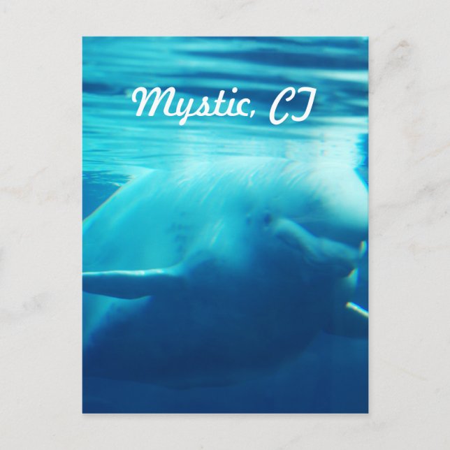 Postal Acuario (Anverso)