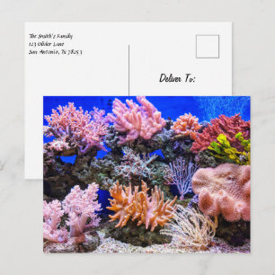 Postal Acuario de agua salada - Arrecife de coral