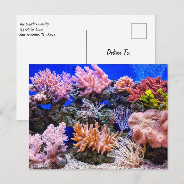 Postal Acuario de agua salada - Arrecife de coral (Anverso / Reverso)