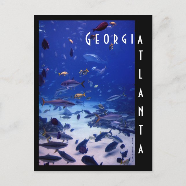 Postal Acuario de Atlanta, Georgia (Anverso)