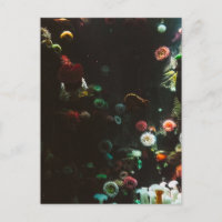 Acuario de Canadá, Toronto, Canadá