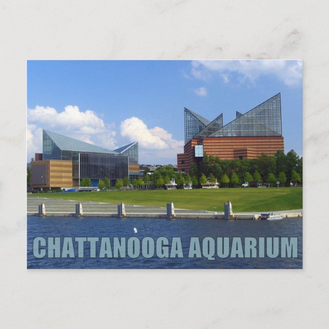 Postal Acuario de Chattanooga (Anverso)
