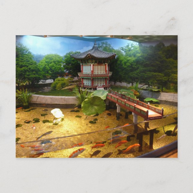 Postal Acuario de COEX (Anverso)