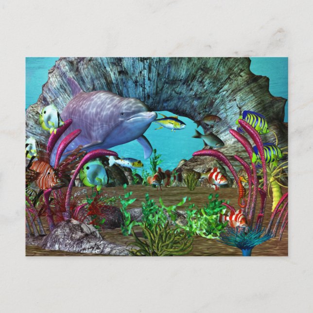 Postal Acuario de Dolphin Discovery 2 3D (Anverso)