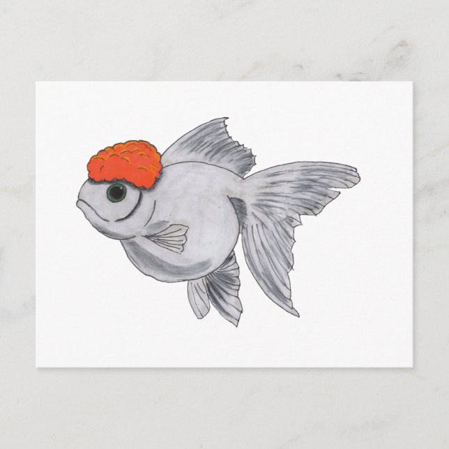 Postal Acuario de peces dorados blanco y Naranja Mascota  (Anverso)