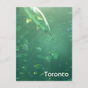 Postal acuario de Toronto