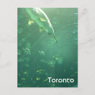 Postal acuario de Toronto