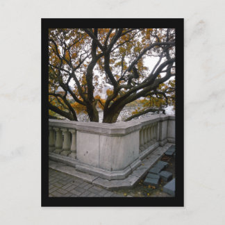 Postal acuario shedd :: otoño