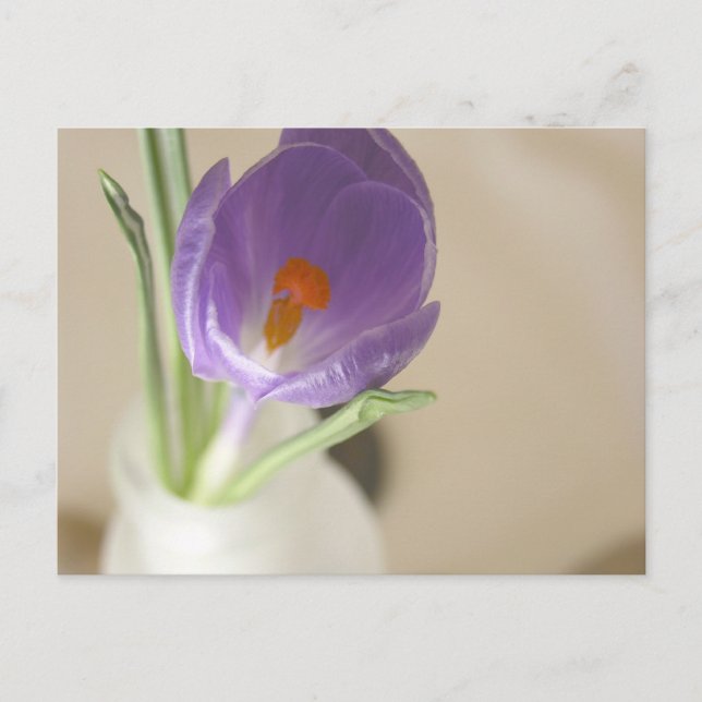 Postal Acuerdo de Crocus (Anverso)