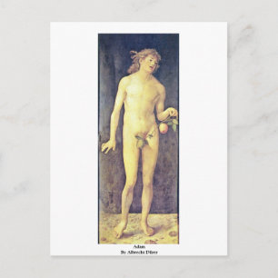 Postal Adam De Albrecht Dürer