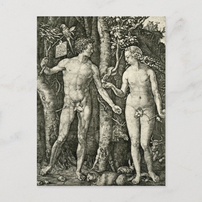 Postal Adam y Eva por Albrecht Durer (Anverso)