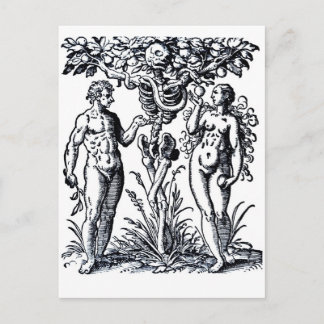 Postal Adam y Eva y el árbol del conocimiento postcard