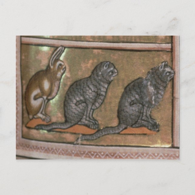 Postal Adán nombra a los animales, de Midlands del Norte (Anverso)