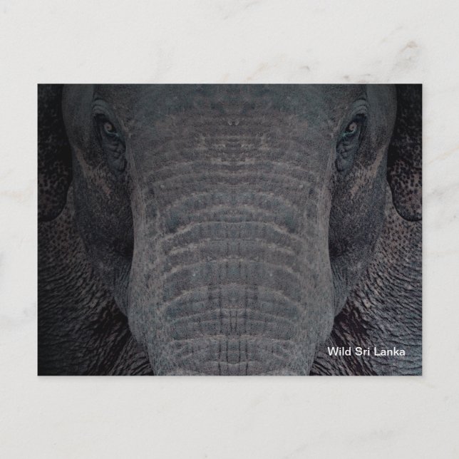 Postal adaptable del elefante de Sri Lanka (Anverso)