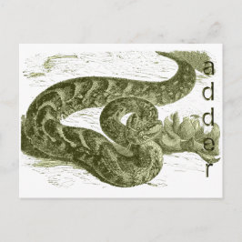 Postal Adder (serpiente)