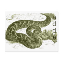 Adder (serpiente)