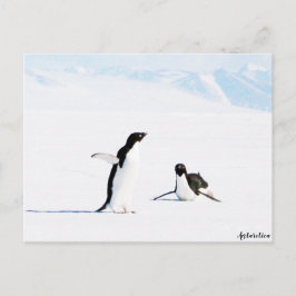 Postal Adelie Penguin y Amigo