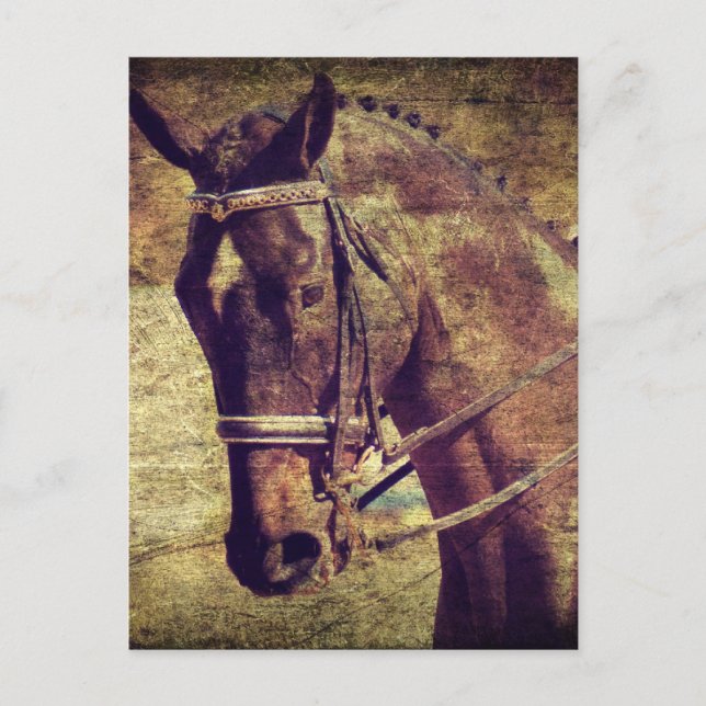 Postal Adiestramiento (Anverso)