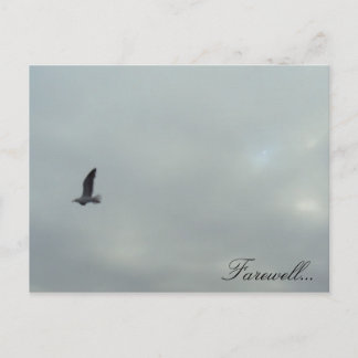 Postal Adiós...