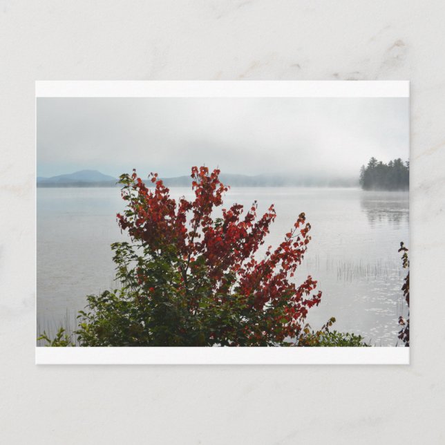 Postal Adirondack Morning Mist Postcard (Anverso)