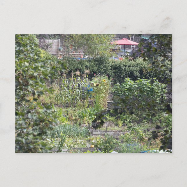 Postal Adjudicaciones en el puente de Hebden (Anverso)