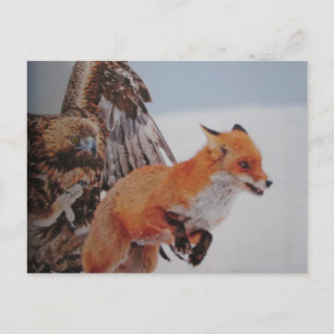 Postal Adler-Fuchs-Kampf-Postkarte