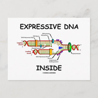 Postal ADN expresivo interno (replicación del ADN)