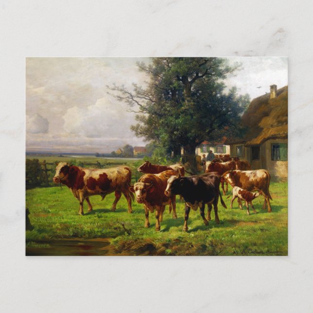 Postal Adolf Chelius Cow Herd en Dachau (Anverso)