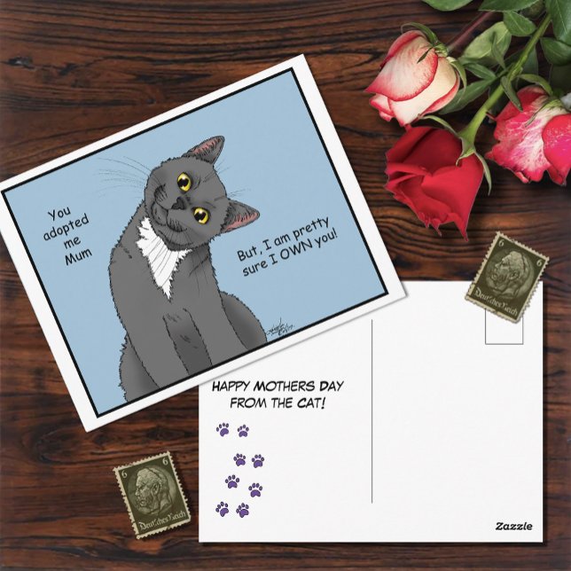 Postal Adopción de Mamá de gato (Subido por el creador)