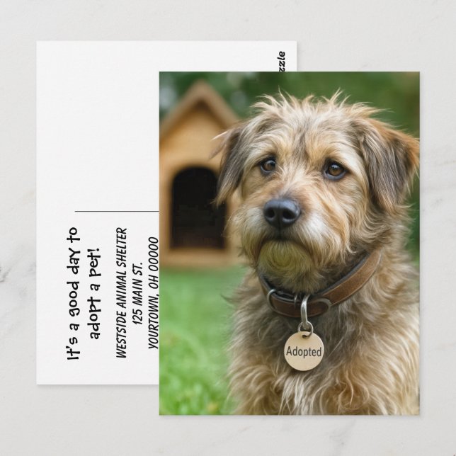 Postal Adopta una Mascota  (Anverso / Reverso)