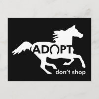 Adoptar caballos