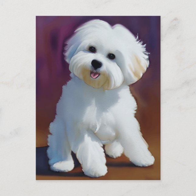 Postal Adorable Bichon Havanese Puppy Watercolor (Anverso)